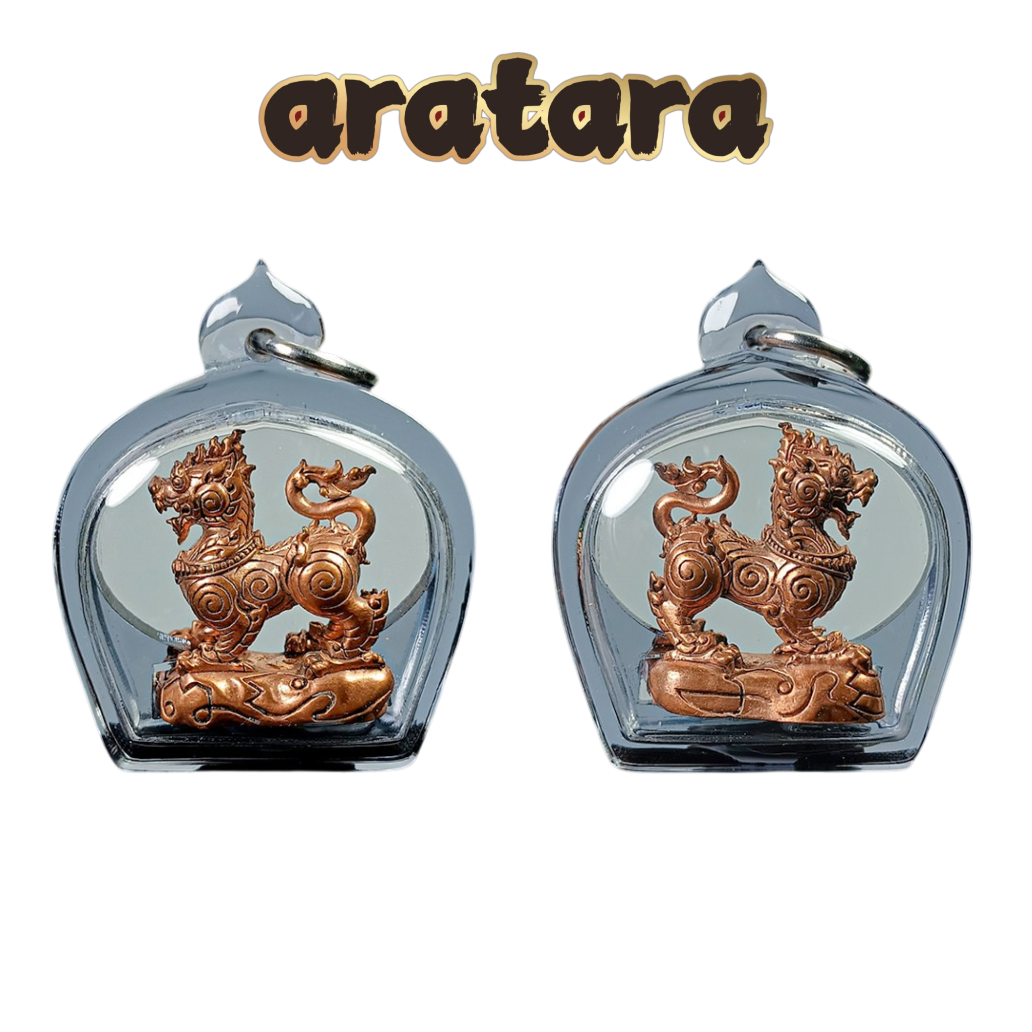 BE 2563 Luang Phor Pha Wat Huay Duan Billionaire Lion Amulet